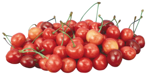 red cherry PNG image, free download-613